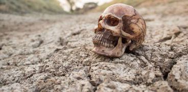 علماء بريطانيون يعثرون على جمجمة قديمة عمرها 35 ألف عام