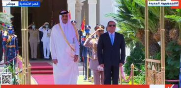 الرئيس عبد الفتاح السيسي وأمير قطر (أرشيفية)