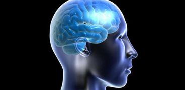 الدماغ يتوقف عن إنتاج خلايا الذاكرة من سن 13 عاما