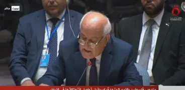 مندوب فلسطين بالأمم المتحدة