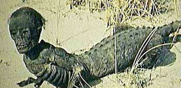 صورة للجثة المحنطة للرجل التمساح