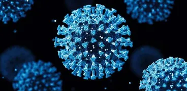فيروس Flirt-صورة تعبيرية