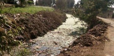 نقص مياه الري يهدد ببوار150 ألف فدان بالغربية مزارعون"أغثيونا فى خطر "