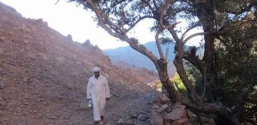 «قص الأثر» فى جنوب سيناء أوشك على الاندثار