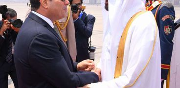 الرئيس السيسي والشيخ محمد بن زايد آل نهيان ولي عهد أبو ظبي