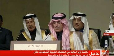 وزير المالية السعودى