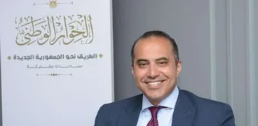 المستشار محمود فوزي