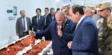 الرئيس عبدالفتاح السيسي خلال تفقد المشروعات الزراعية