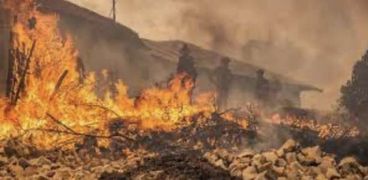 حرائق غابات المغرب
