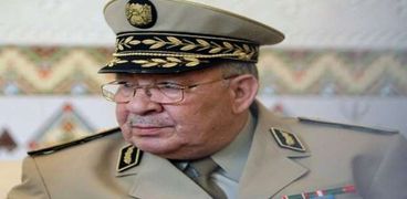 رئيس أركان الجيش الجزائري أحمد قايد صالح - صورة أرشيفية