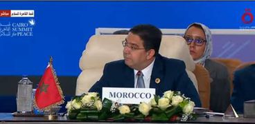 ناصر بوريطة وزير خارجية المغرب