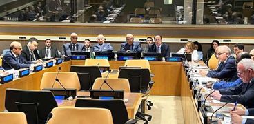 مشاركة الوفد المصري في اجتماعات على هامش الجمعية العامة للأمم المتحدة