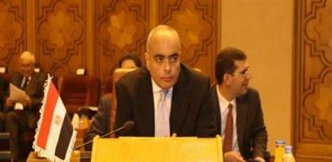 السفير  عمرو أبوالعطا