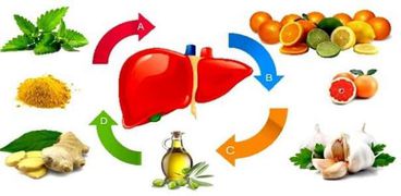 أطعمة ومشروبات تساعد علي تنقية الكبد من السموم