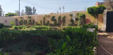 بـ«تحيا مصر» و«اتحضر للأخضر» تخطيط فناء مدرسة في كفر الشيخ