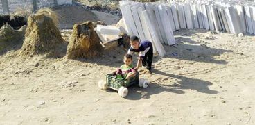 «محمود» يلعب مع شقيقه «زياد»