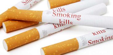 حماية المستهلك : حملات تفتيشية على أسعار السجائر .. ومحاضر للمُخالفين