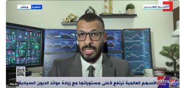 المحلل الاقتصادي أحمد نجم