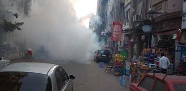 "جمرك الإسكندرية" يكافح الحشرات بشوارع الحي