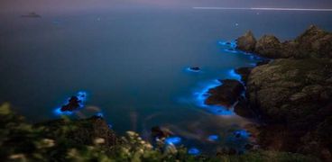 بالفيديو| "الدموع الزرقاء".. ظاهرة تهدد الحياه البحرية بالصين