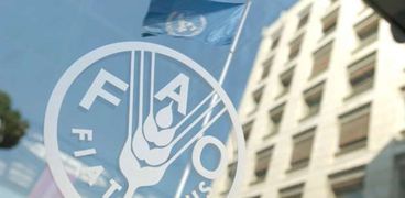 منظمة الأغذية والزراعة التابعة للأمم المتحدة «الفاو»