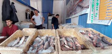 أسعار الأسماك بمعرض أهلا رمضان
