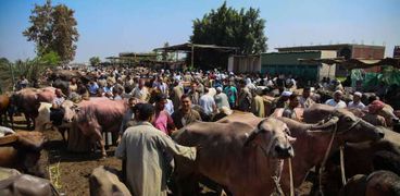 الدولة تواصل دعمها لصغار المزارعين ومربي الماشية