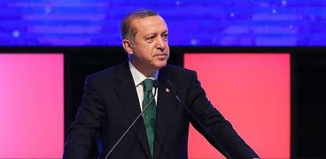 الرئيس التركي رجب طيب أردوغان _ أرشيفية