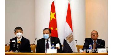سفير الصين في القاهرة