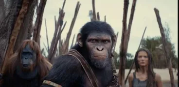مشهد من Kingdom of the Planet of the Apes