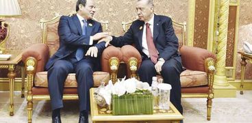 الرئيس السيسي والرئيس التركي خلال لقاء سابق