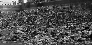 القمامة تنتشر حول مستشفى الحميات بالزقازيق