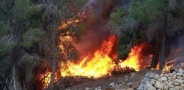 حريق ضخم بجبل قربص في تونس