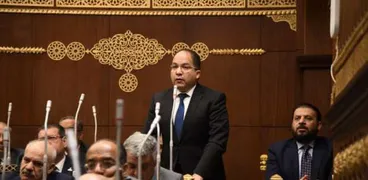 عادل اللمعي - عضو مجلس الشيوخ