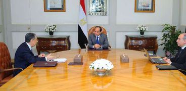 لقاء الرئيس عبدالفتاح السيسي ووزير الكهرباء اليوم