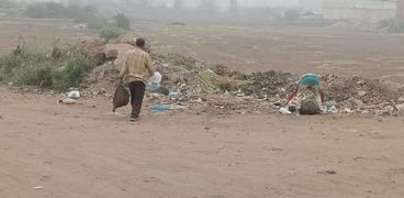 حملات النظافة بمركز ومدينة بيلا بكفر الشيخ