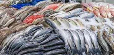 أسعار السمك اليوم بالأسواق