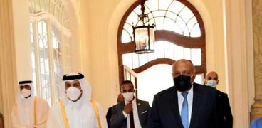 وزير الخارجية يبحث مع نظيره القطري تطورات ملف السد الإثيوبي