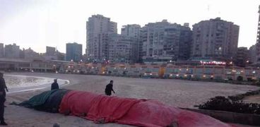 الحوت على شاطئ رشدي بالإسكندرية
