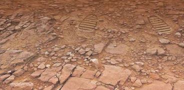 أقدم آثار أقدام على الأرض