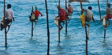 صيد الأسماك في سريلانكا