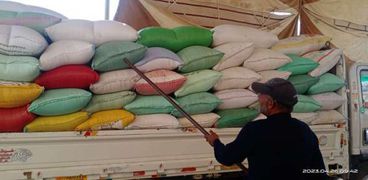 صورة توريد القمح في كفر الشيخ