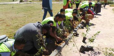انطلاق المرحلة الأولى لزراعة 3 آلاف شجرة بمدينة أسوان الجديدة