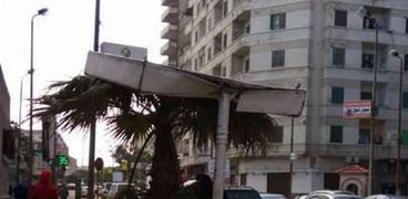 شدة الرياح تقتلع الأشجار والإعلانات بالإسكندرية