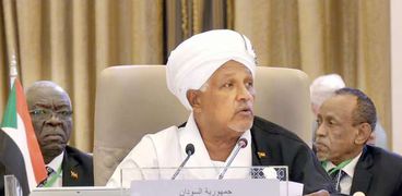 المبعوث الخاص لرئيس مجلس السيادة السودانى خلال كلمته فى القمة