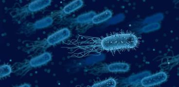 انتشار البكتيريا المقاومة للمضاد تزايد بعد الغزو الأمريكي للعراق