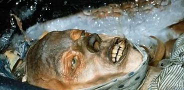 دراسة جديدة عن سبب موت طاقم بعثة فرانكلين البحرية الذين أكلو لحم البشر