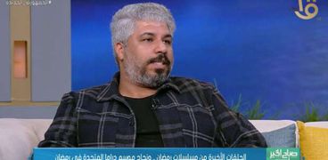 الناقد الفني مصطفى حمدي
