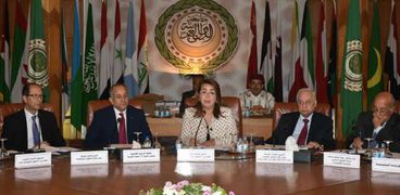 وزيرة التضامن في جامعة الدول العربية