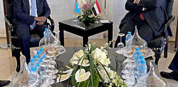 لقاء وزير الخارجية ونظيره الصومالي